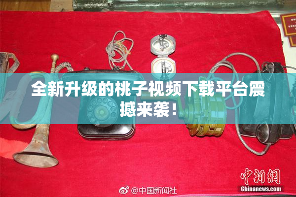 全新升级的桃子视频下载平台震撼来袭！