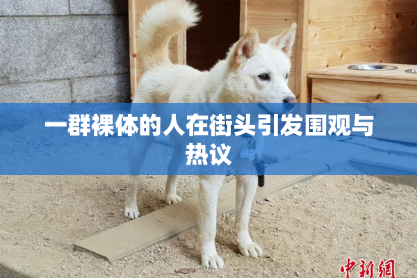 一群裸体的人在街头引发围观与热议