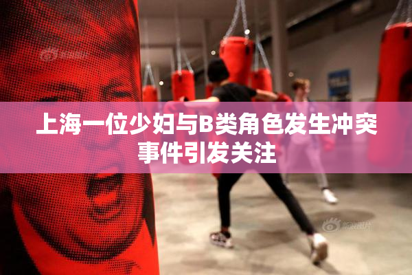 上海一位少妇与B类角色发生冲突事件引发关注