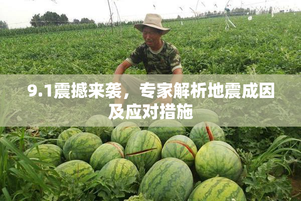 9.1震撼来袭，专家解析地震成因及应对措施