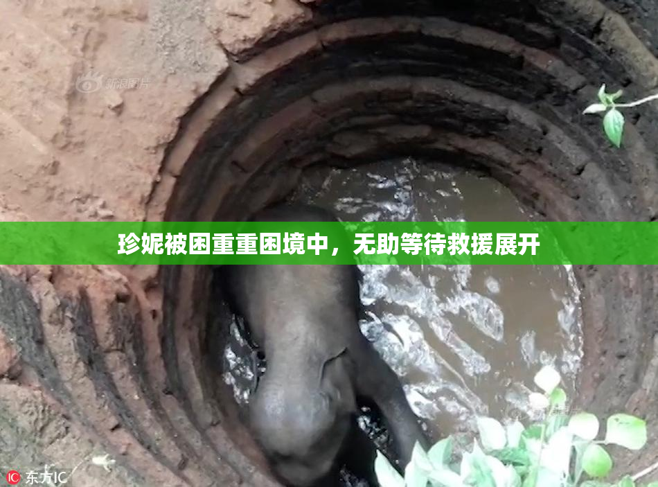 珍妮被困重重困境中，无助等待救援展开