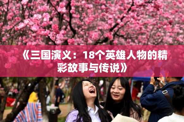《三国演义：18个英雄人物的精彩故事与传说》
