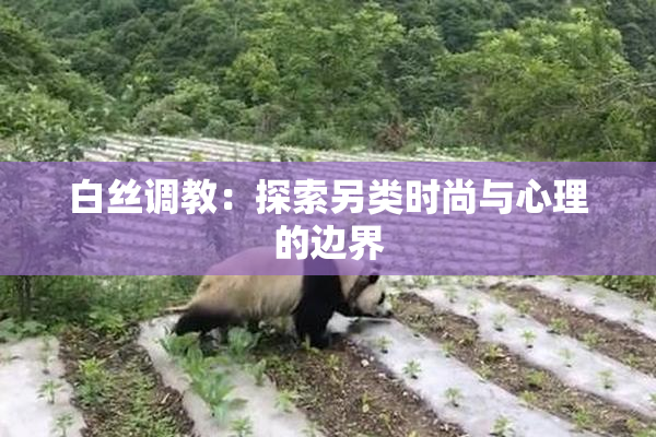 白丝调教：探索另类时尚与心理的边界