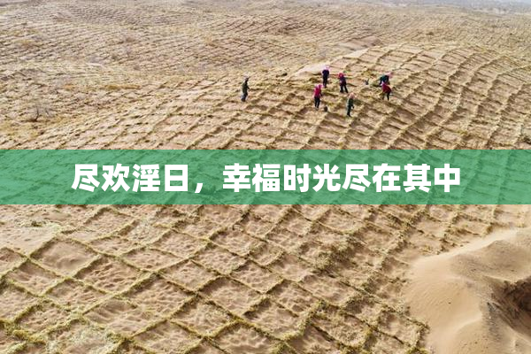 尽欢淫日，幸福时光尽在其中