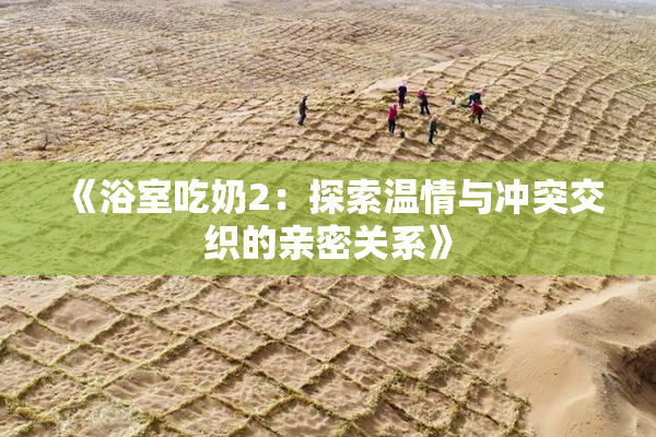 《浴室吃奶2：探索温情与冲突交织的亲密关系》