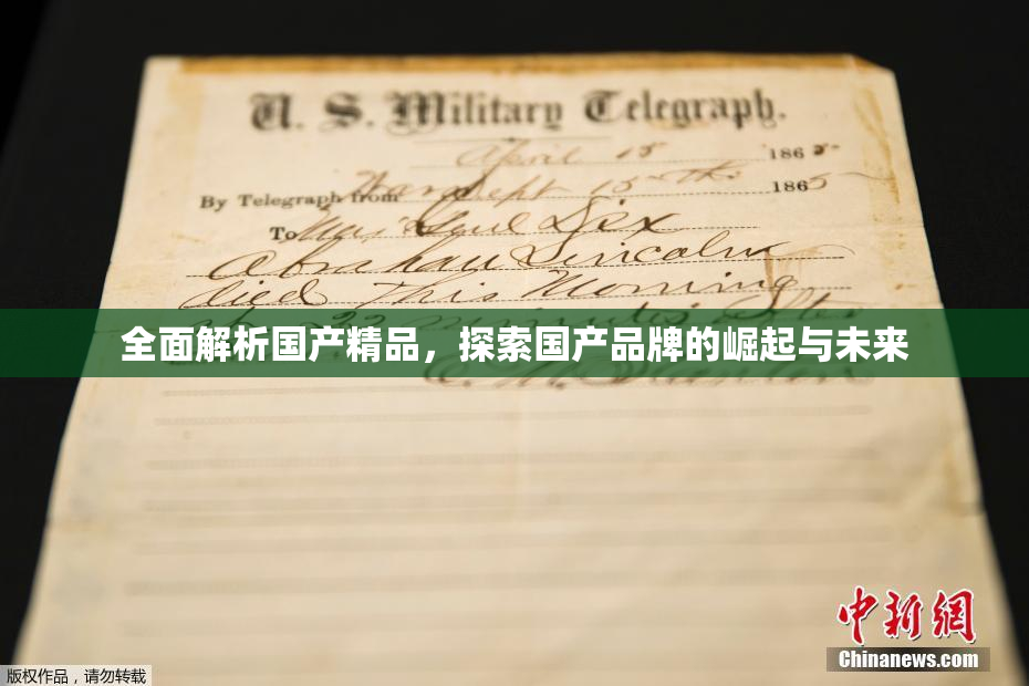 全面解析国产精品，探索国产品牌的崛起与未来