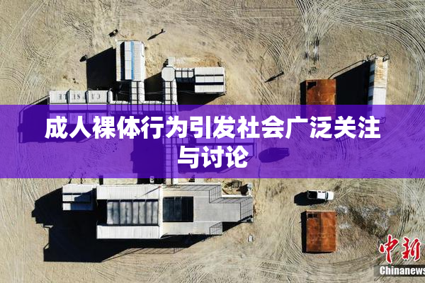 成人裸体行为引发社会广泛关注与讨论