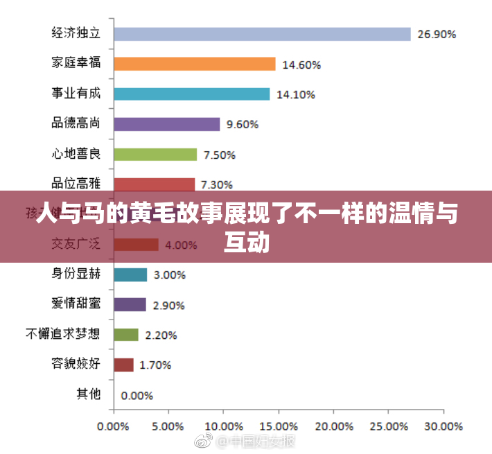 人与马的黄毛故事展现了不一样的温情与互动