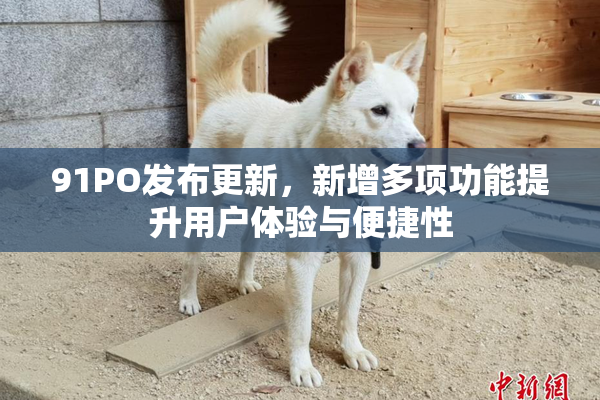 91PO发布更新，新增多项功能提升用户体验与便捷性
