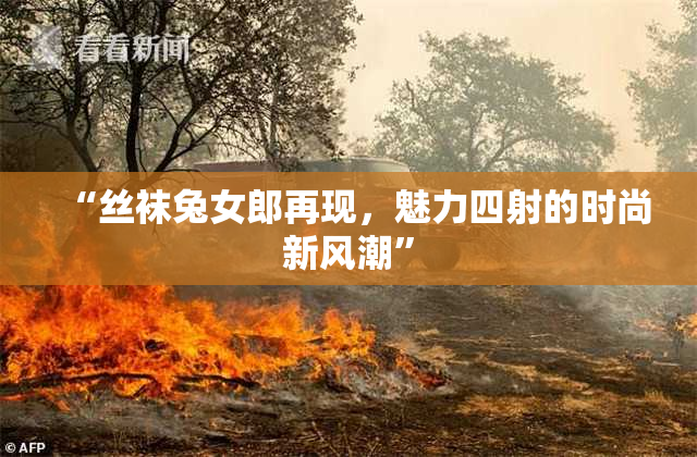 “丝袜兔女郎再现，魅力四射的时尚新风潮”