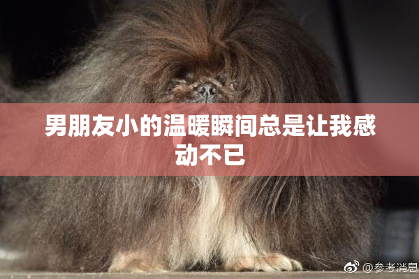 男朋友小的温暖瞬间总是让我感动不已