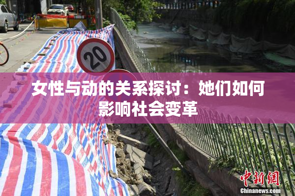 女性与动的关系探讨：她们如何影响社会变革