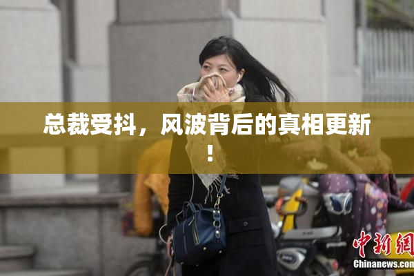 总裁受抖，风波背后的真相更新！