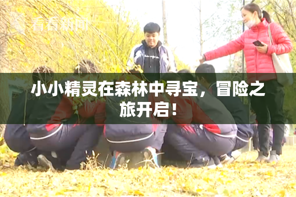 小小精灵在森林中寻宝，冒险之旅开启！