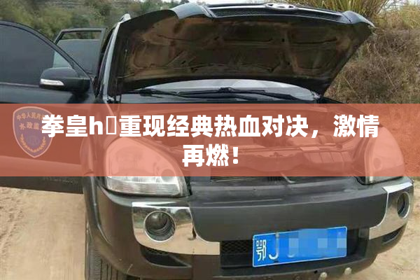拳皇h婬重现经典热血对决，激情再燃！