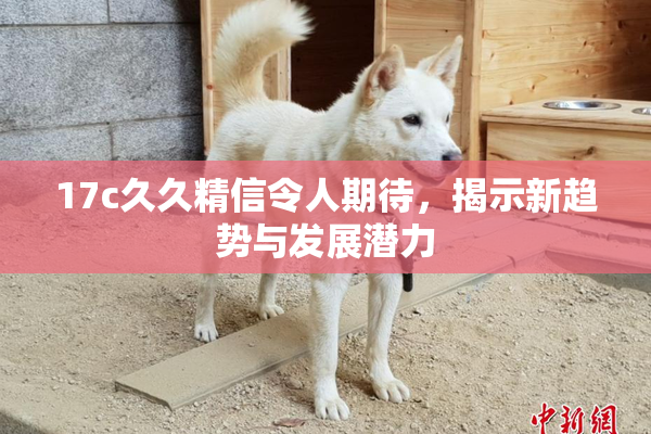 17c久久精信令人期待，揭示新趋势与发展潜力
