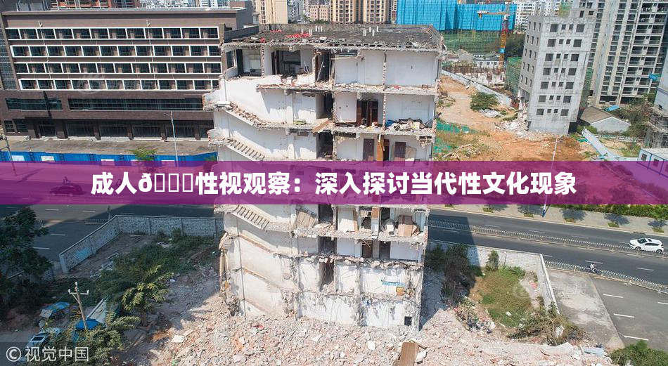 成人🔞性视观察：深入探讨当代性文化现象