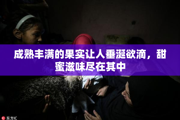 成熟丰满的果实让人垂涎欲滴，甜蜜滋味尽在其中