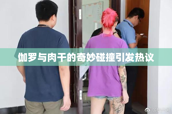 伽罗与肉干的奇妙碰撞引发热议