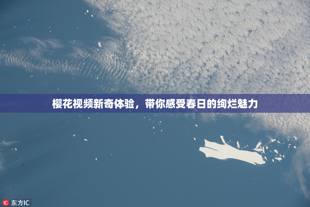 樱花视频新奇体验，带你感受春日的绚烂魅力