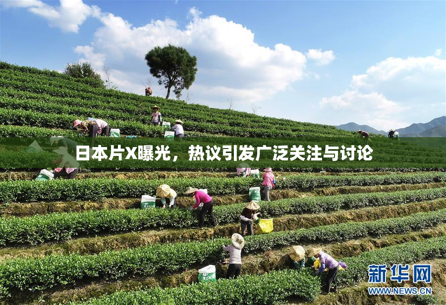 日本片X曝光，热议引发广泛关注与讨论