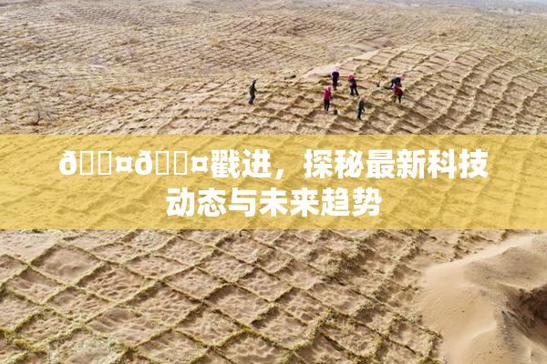 🐤🐤戳进，探秘最新科技动态与未来趋势