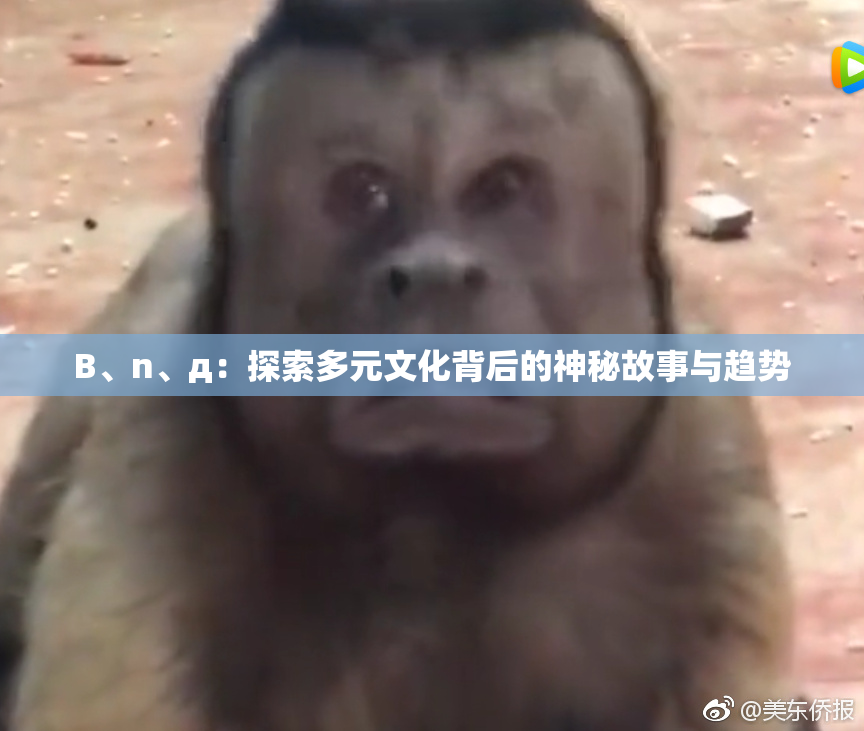 B、n、д：探索多元文化背后的神秘故事与趋势
