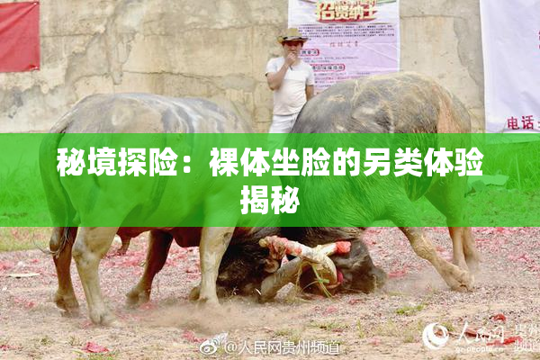 秘境探险：裸体坐脸的另类体验揭秘