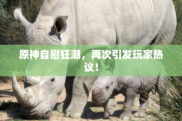 原神自慰狂潮，再次引发玩家热议！