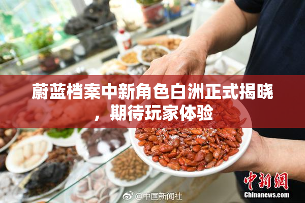 蔚蓝档案中新角色白洲正式揭晓，期待玩家体验