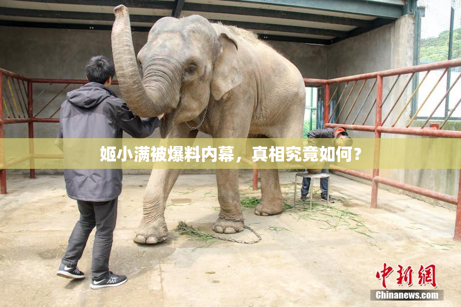 姬小满被爆料内幕，真相究竟如何？