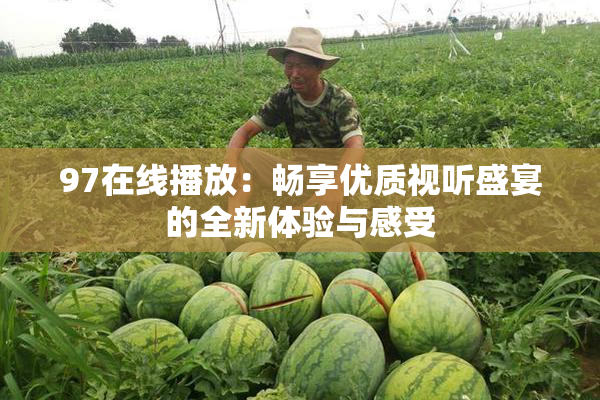 97在线播放：畅享优质视听盛宴的全新体验与感受