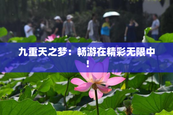 九重天之梦：畅游在精彩无限中！