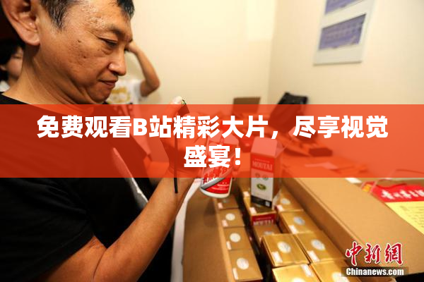 免费观看B站精彩大片，尽享视觉盛宴！