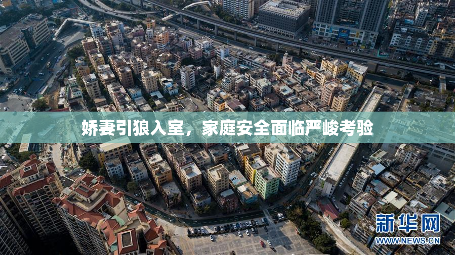 娇妻引狼入室，家庭安全面临严峻考验