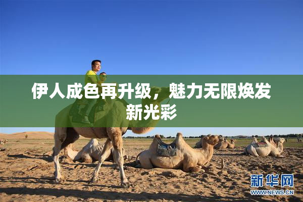 伊人成色再升级，魅力无限焕发新光彩