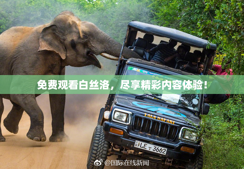 免费观看白丝洛，尽享精彩内容体验！