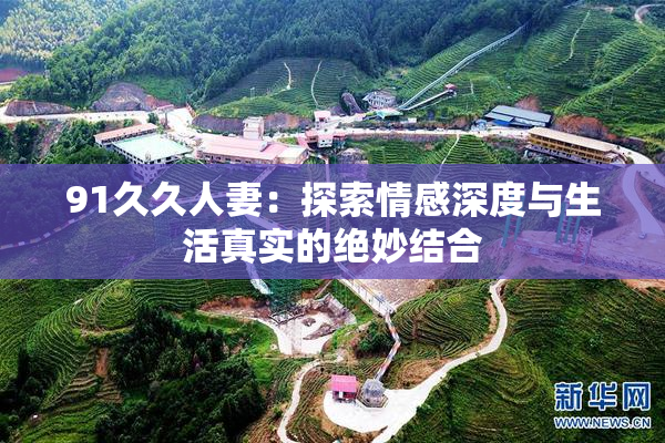 91久久人妻：探索情感深度与生活真实的绝妙结合