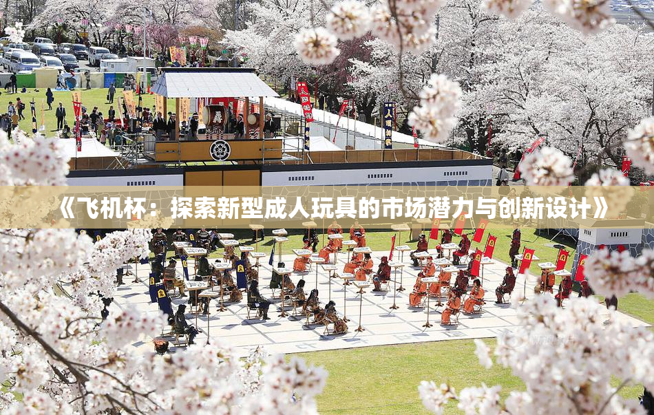 《飞机杯：探索新型成人玩具的市场潜力与创新设计》