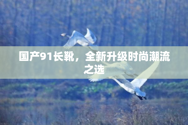 国产91长靴，全新升级时尚潮流之选