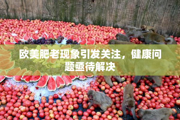 欧美肥老现象引发关注，健康问题亟待解决