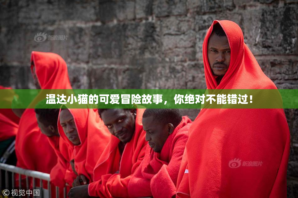 温达小猫的可爱冒险故事，你绝对不能错过！