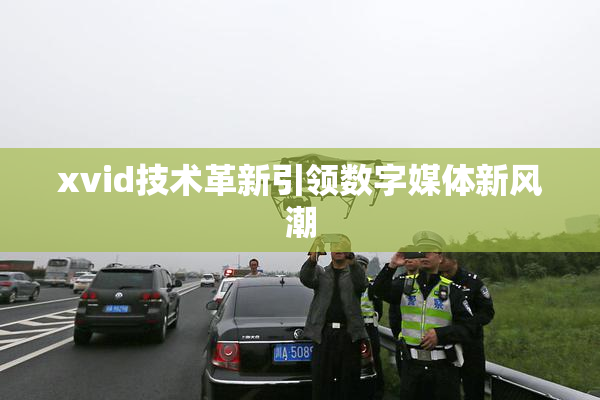 xvid技术革新引领数字媒体新风潮