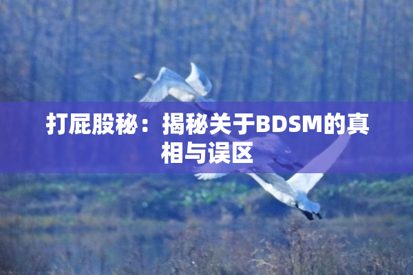打屁股秘：揭秘关于BDSM的真相与误区