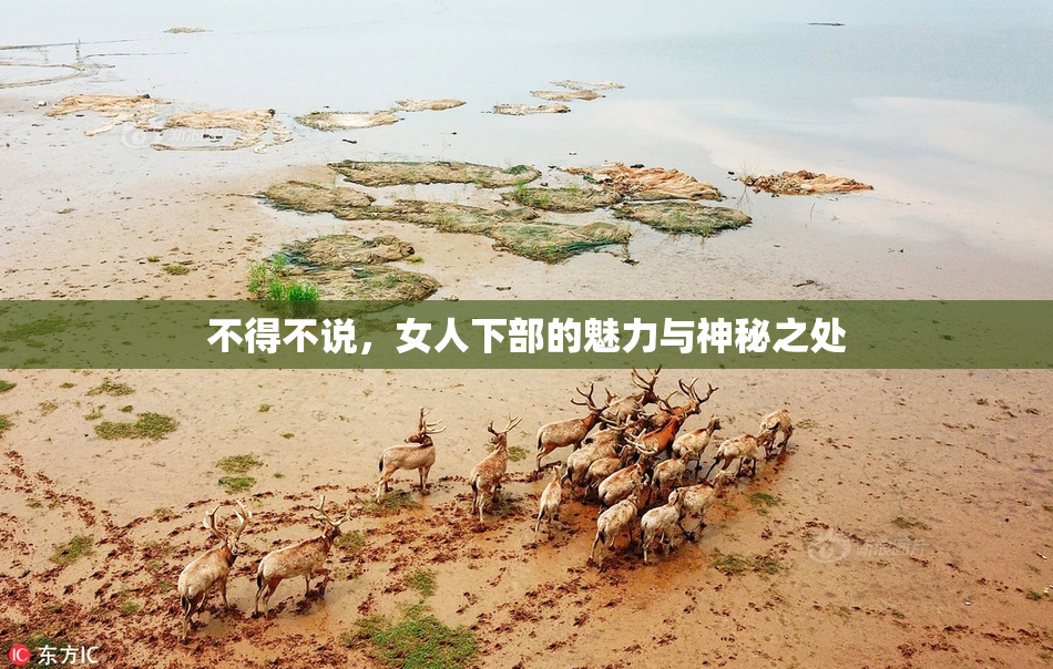 不得不说，女人下部的魅力与神秘之处