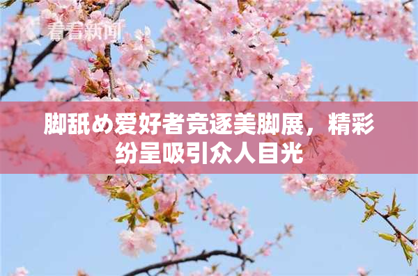 脚舐め爱好者竞逐美脚展，精彩纷呈吸引众人目光