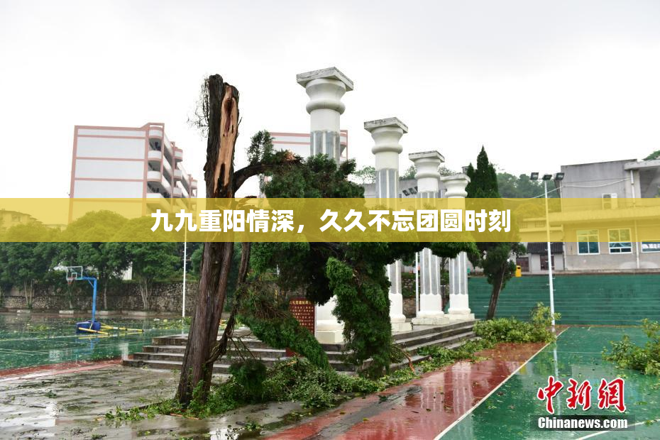 九九重阳情深，久久不忘团圆时刻