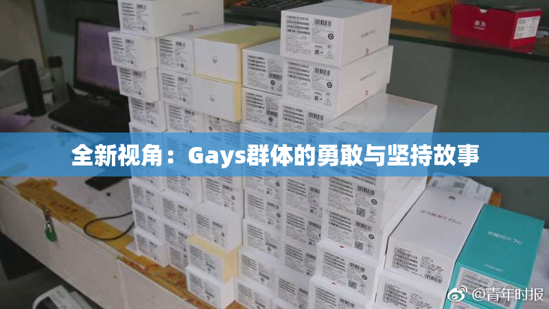 全新视角：Gays群体的勇敢与坚持故事