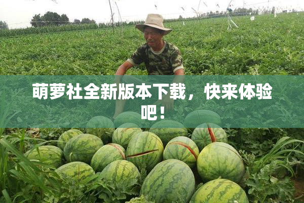 萌萝社全新版本下载，快来体验吧！