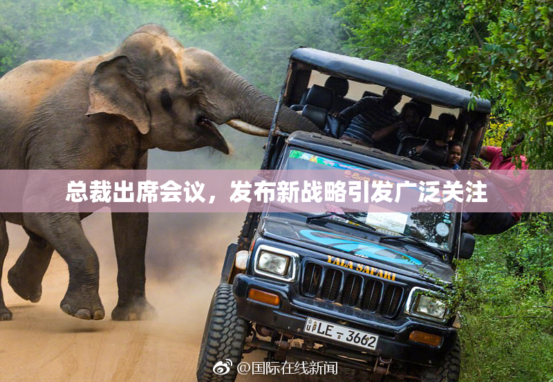 总裁出席会议，发布新战略引发广泛关注